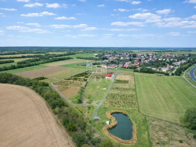 Eladó mezőgazdasági ingatlan Balogunyom 65000 nm