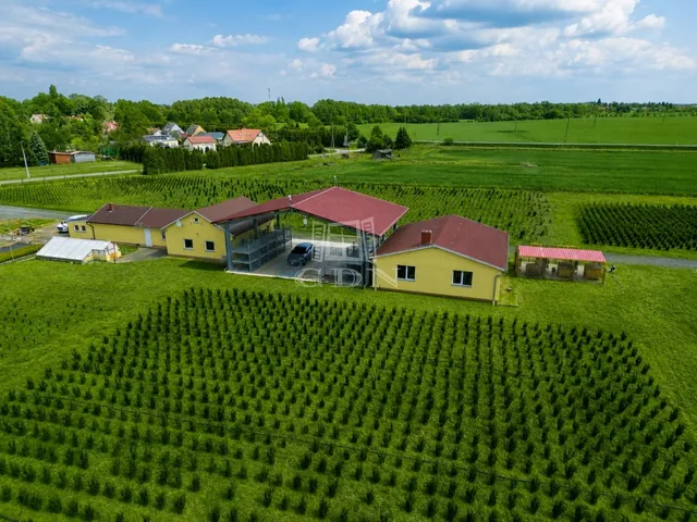 Eladó mezőgazdasági ingatlan Balogunyom 65000 nm