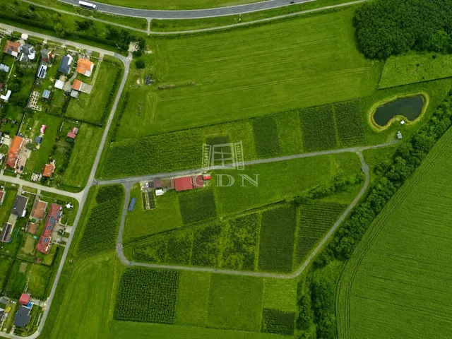Eladó mezőgazdasági ingatlan Balogunyom 65000 nm