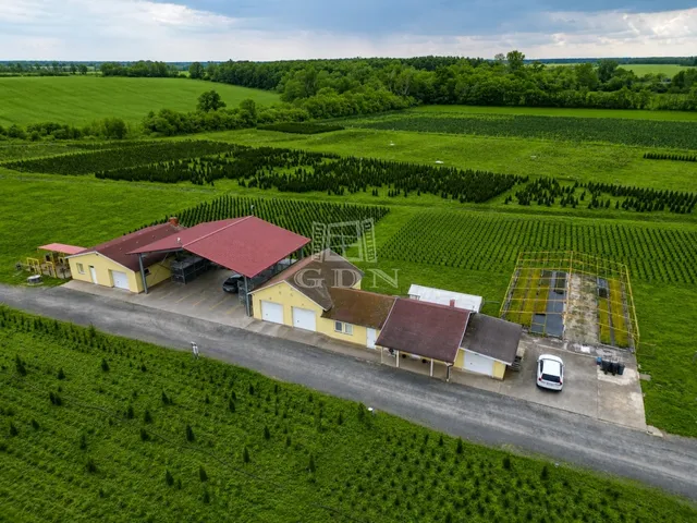 Eladó mezőgazdasági ingatlan Balogunyom 65000 nm