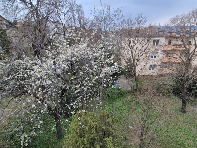 Eladó lakás Budapest I. kerület, Gellérthegy I. ker., Harkály utca 44 nm