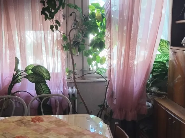 Eladó lakás Hajdúszoboszló 54 nm