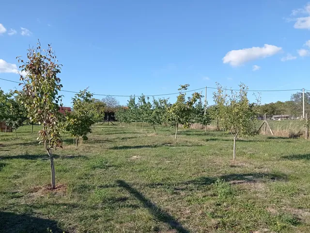 Eladó telek Tök 3080 nm