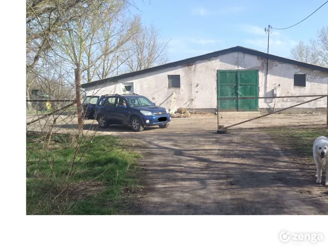 Kiadó mezőgazdasági ingatlan Tószeg 1500 nm