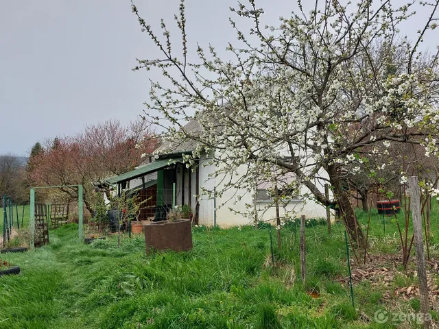 Eladó üdülő és hétvégi ház Nagykanizsa, Palin 60 nm