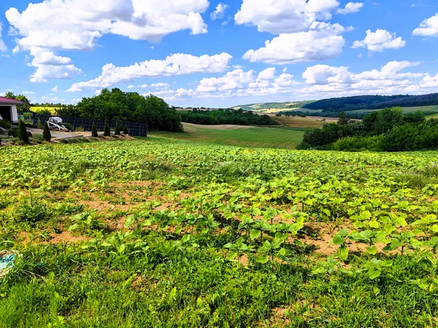 Eladó telek Bonyhád, Börzsöny 4000 nm