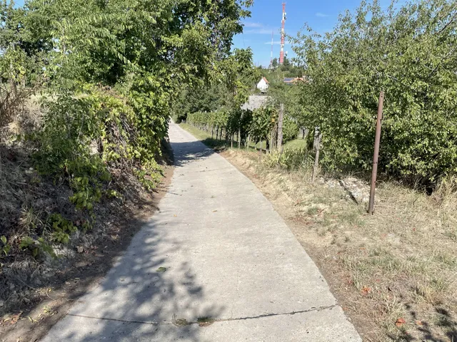 Eladó telek Szekszárd 2571 nm