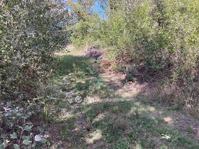 Eladó nyaraló Mezőtúr 30 nm