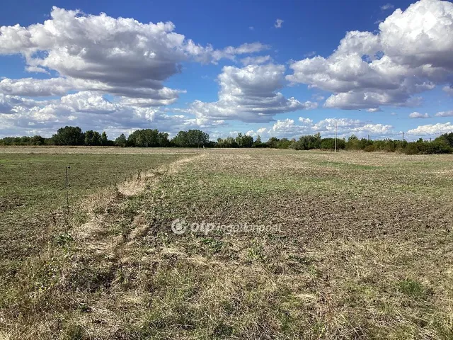 Eladó üdülő és hétvégi ház Mezőtúr 30 nm
