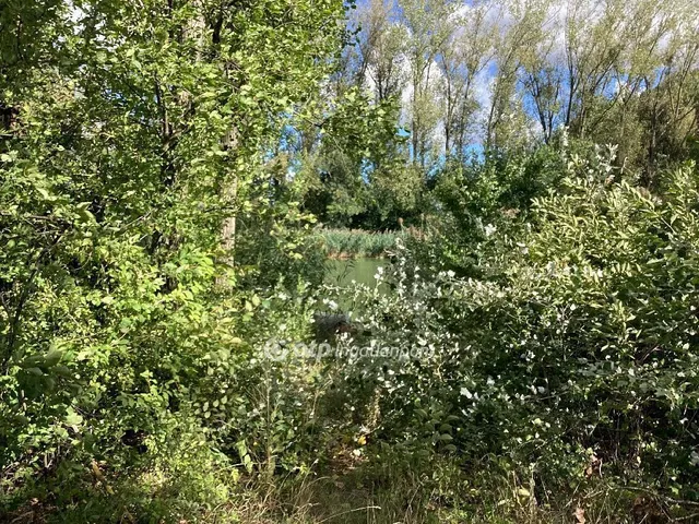 Eladó üdülő és hétvégi ház Mezőtúr 30 nm