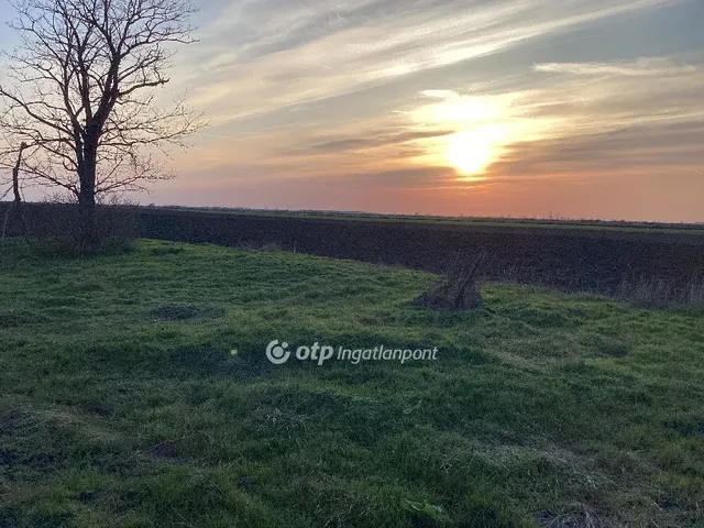 Eladó mezőgazdasági ingatlan Kardos 70 nm