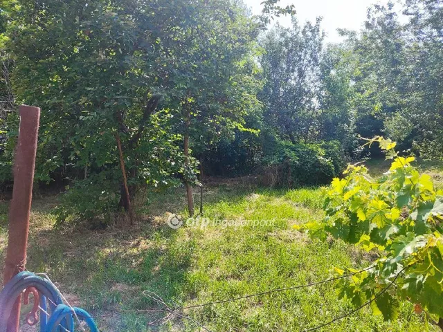 Eladó ház Mezőberény 80 nm