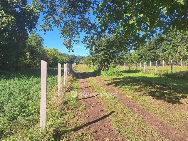 Eladó telek Tiszafüred 1966 nm
