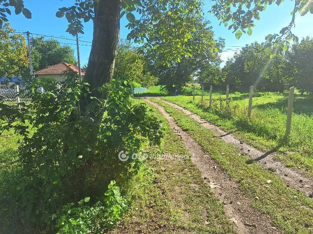 Eladó telek Tiszafüred 1966 nm