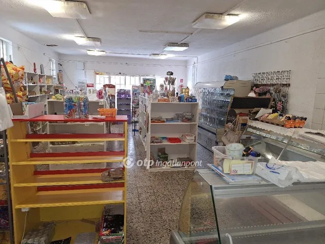 Eladó kereskedelmi és ipari ingatlan Tiszaörs 99 nm