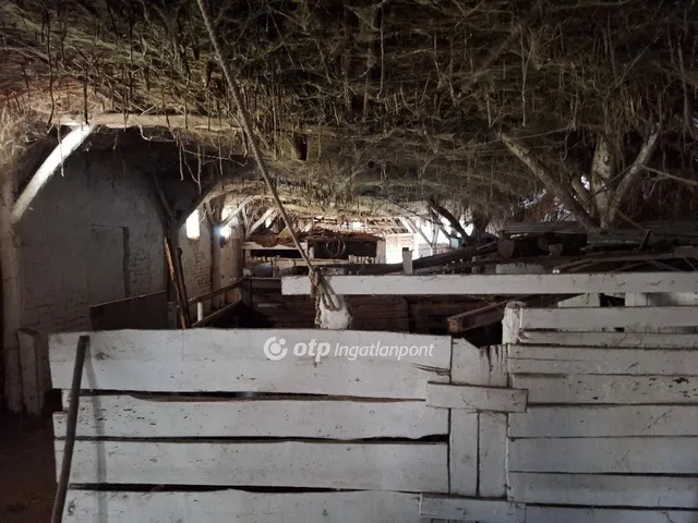 Eladó mezőgazdasági ingatlan Kunmadaras 6415 nm