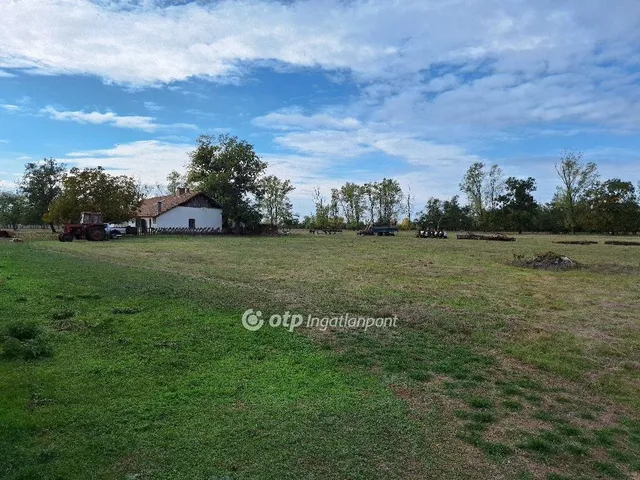 Eladó mezőgazdasági ingatlan Kunmadaras 6415 nm