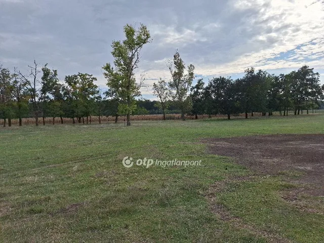 Eladó mezőgazdasági ingatlan Kunmadaras 6415 nm