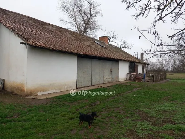 Eladó mezőgazdasági ingatlan Kunmadaras 6415 nm