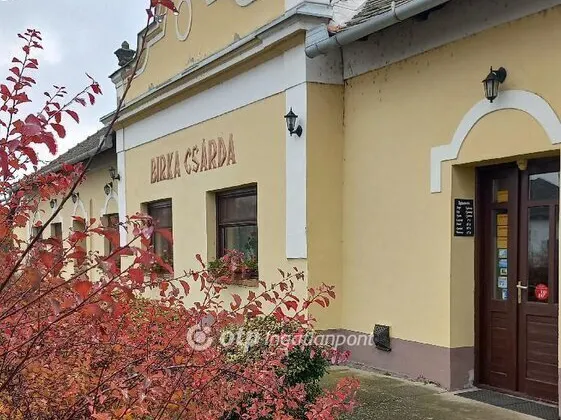 Eladó ház Gyomaendrőd 328 nm