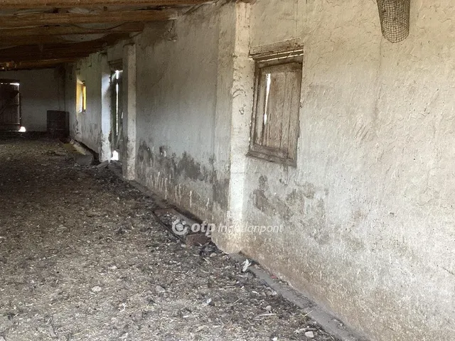 Eladó mezőgazdasági ingatlan Gyomaendrőd 212231 nm