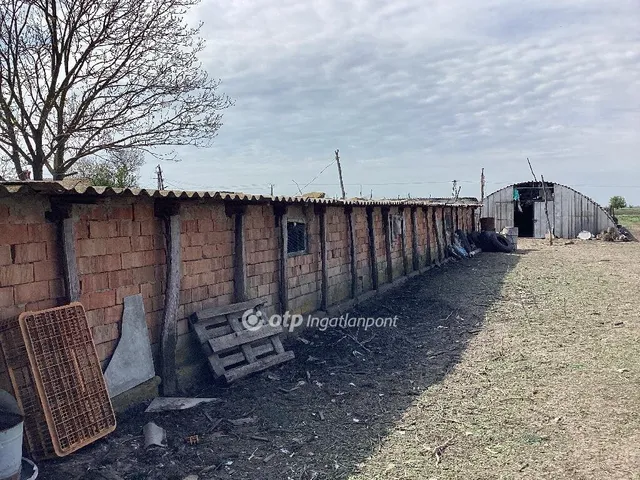 Eladó mezőgazdasági ingatlan Gyomaendrőd 212231 nm