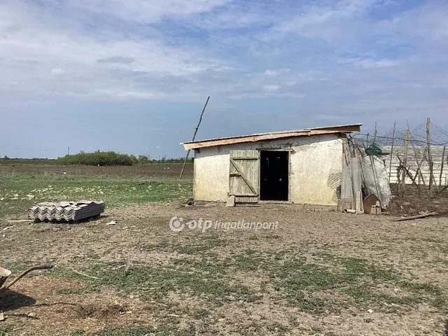 Eladó mezőgazdasági ingatlan Gyomaendrőd 212231 nm