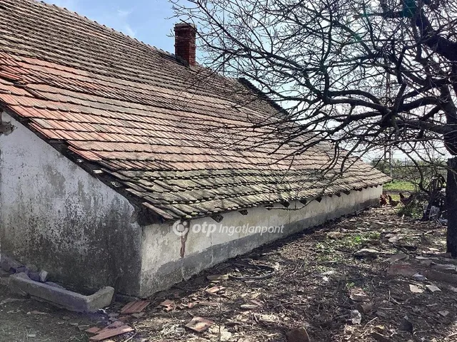 Eladó mezőgazdasági ingatlan Gyomaendrőd 212231 nm