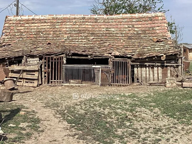 Eladó mezőgazdasági ingatlan Gyomaendrőd 212231 nm