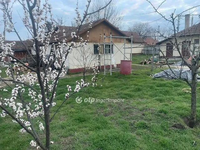 Eladó ház Újkígyós 112 nm
