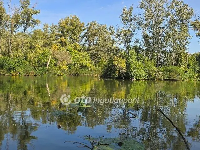 Eladó nyaraló Szarvas 80 nm