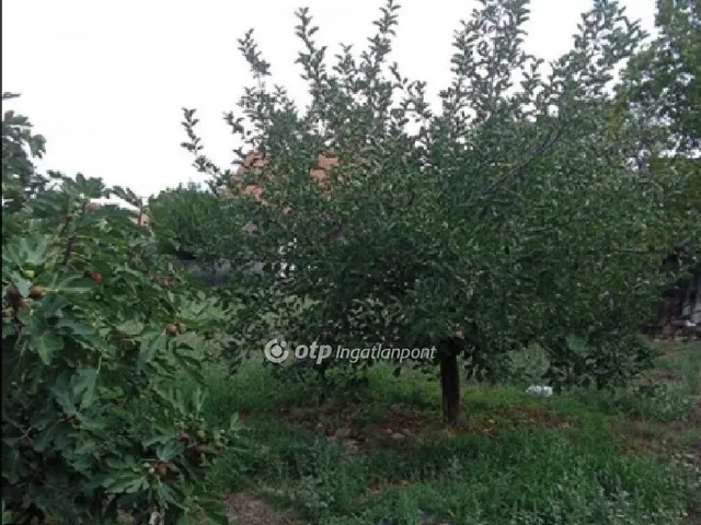 Eladó telek Gyomaendrőd 620 nm
