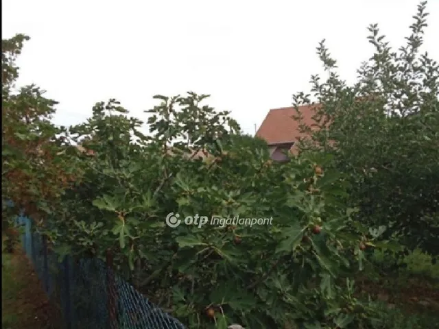Eladó telek Gyomaendrőd 620 nm