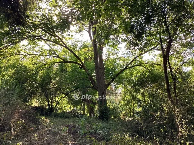 Eladó telek Gyomaendrőd 1063 nm