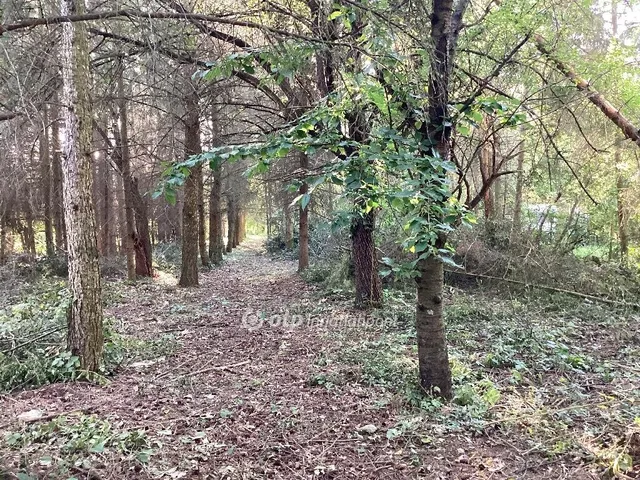 Eladó telek Gyomaendrőd 1063 nm
