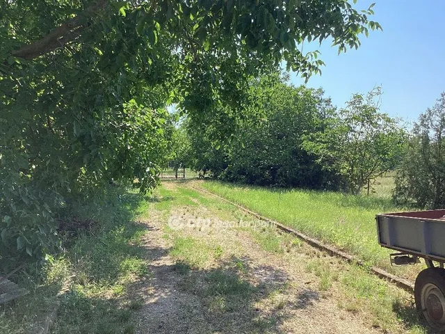 Eladó kereskedelmi és ipari ingatlan Gyomaendrőd 480 nm