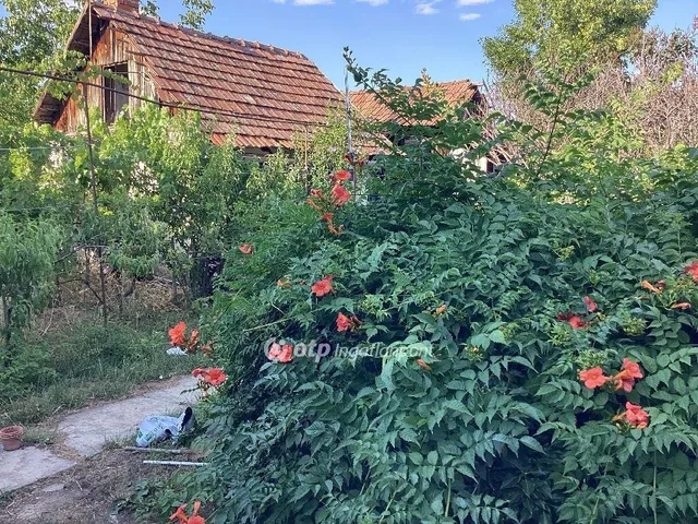 Eladó ház Gyomaendrőd 99 nm
