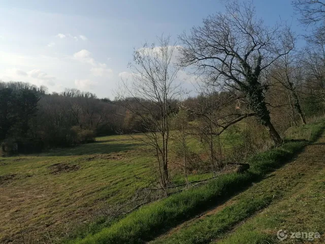 Eladó mezőgazdasági ingatlan Helesfa 25 nm