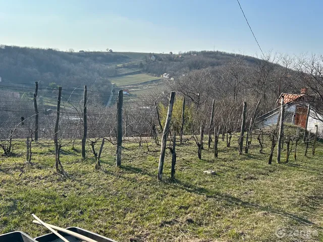 Eladó mezőgazdasági ingatlan Szekszárd, Bottyánhegy 47 nm