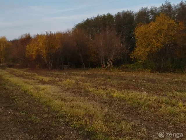 Eladó mezőgazdasági ingatlan Harka, Külterület  11500 nm