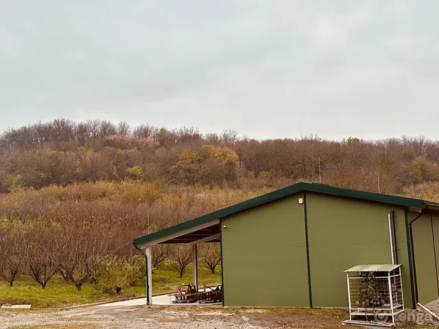 Eladó mezőgazdasági ingatlan Nagyvejke 320 nm