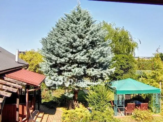 Eladó ház Győrújbarát 91 nm