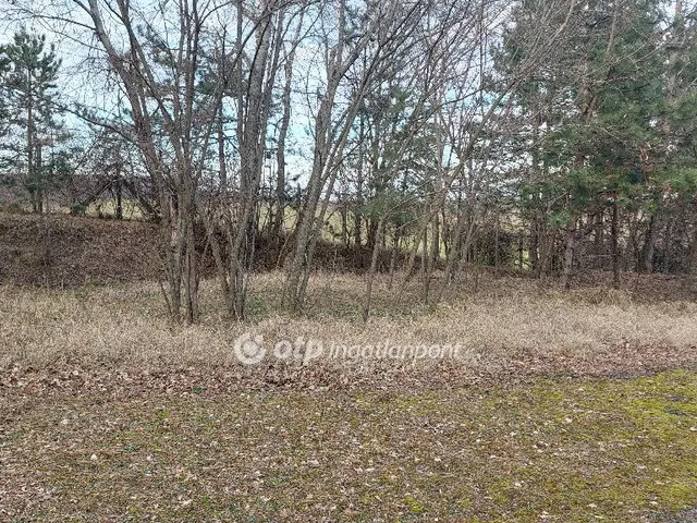 Eladó telek Tarjánpuszta 95989 nm