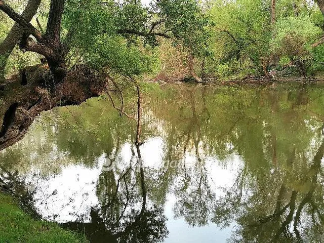 Eladó telek Győr, Pinnyéd 790 nm