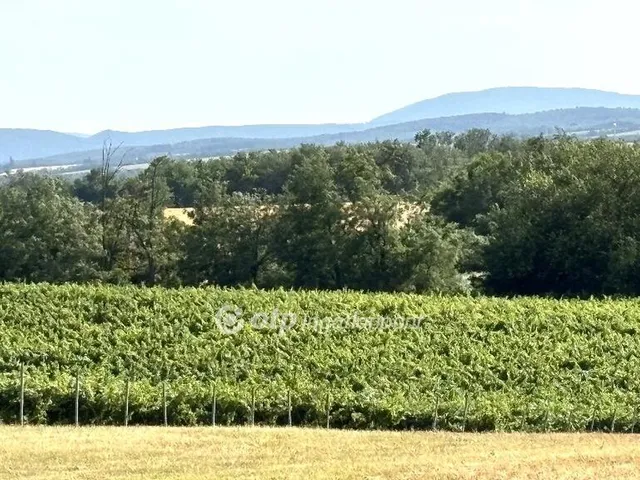 Eladó telek Bársonyos 1705 nm