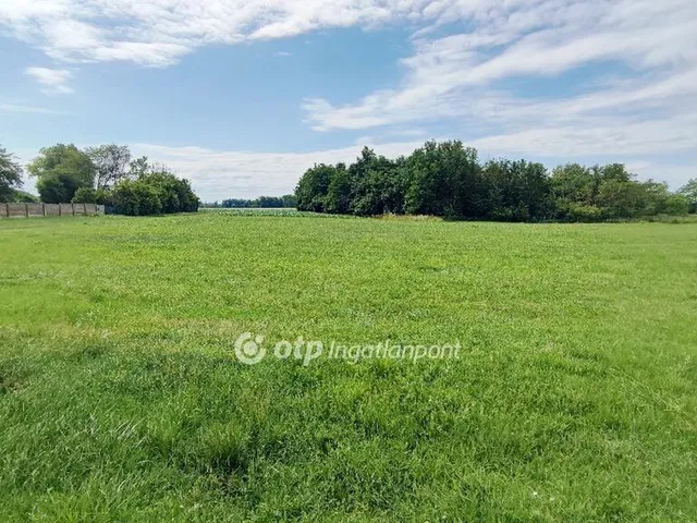 Eladó telek Fehértó 8437 nm