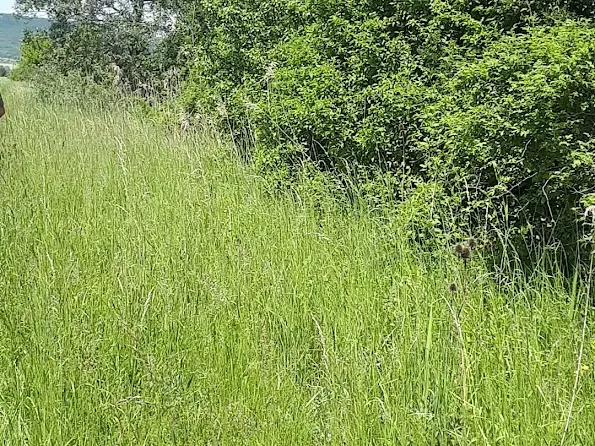 Eladó telek Pomáz 3845 nm