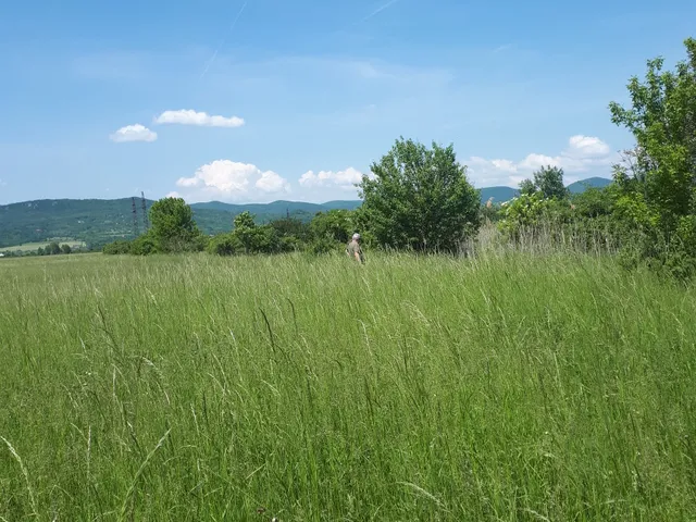 Eladó telek Pomáz, nincs 3845 nm