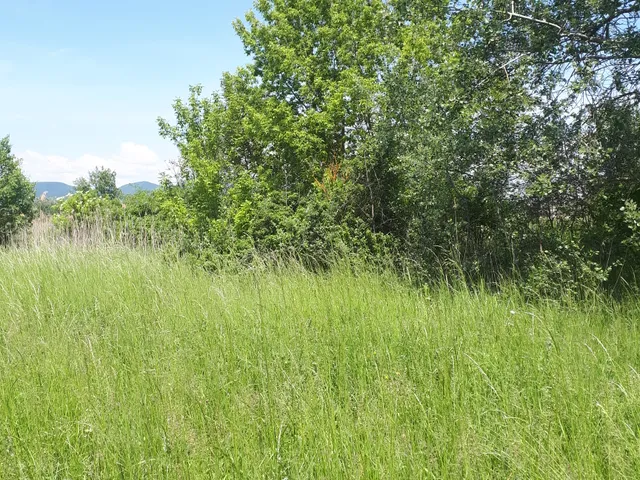 Eladó telek Pomáz, nincs 3845 nm