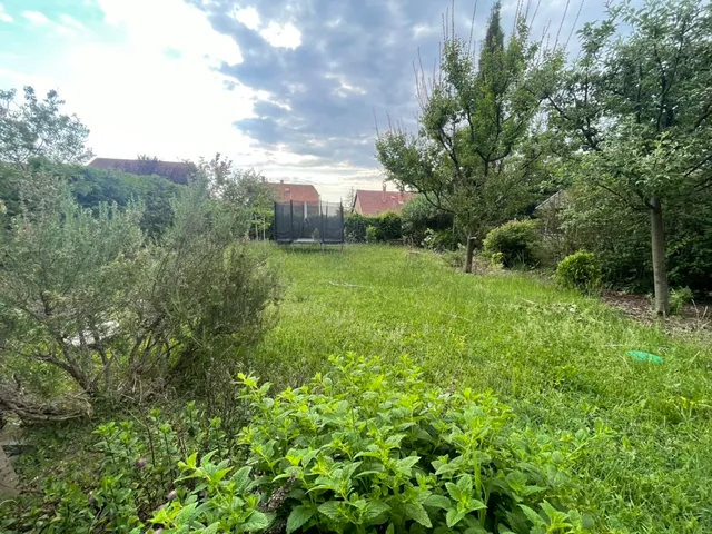 Kiadó ház Pomáz 145 nm